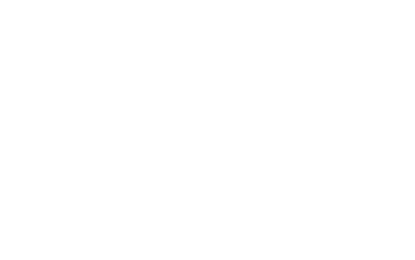SISAMEX-1